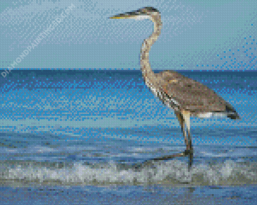 Grey Heron On Beach Diamond Paintings