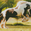 Gypsy Vanner Diamond Paintings