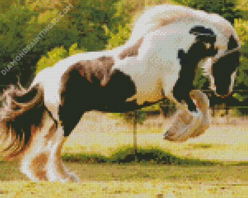 Gypsy Vanner Diamond Paintings