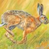 Hare Running Diamond Paintings