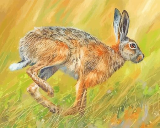 Hare Running Diamond Paintings