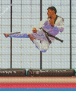 Karate Man Diamond Paintings