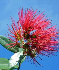 Pohutukawa Flower Diamond Paintings