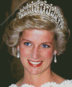 The Princess Diana Diamond Paintings
