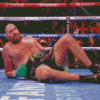 Tyson Fury Boxer Diamond Paintings