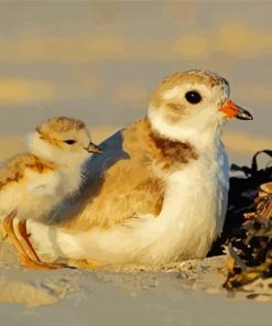 White And Beige Piping Plover Bird Diamond Paintings
