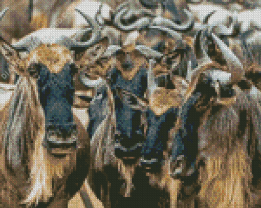 Wildebeest Herd Diamond Paintings