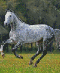 Aesthetic Dapple Horse Diamond Paintings