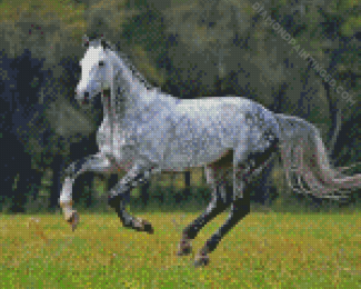 Aesthetic Dapple Horse Diamond Paintings