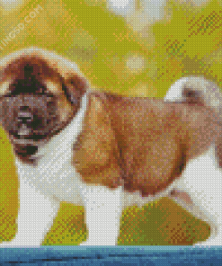 American Akita Puppy Diamond Paintings