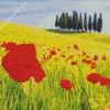 Red And Yellow Flower Fields Italy Diamond Paintings