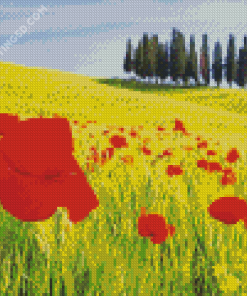 Red And Yellow Flower Fields Italy Diamond Paintings
