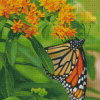 Aesthetic Orange Flower With Butterfly Diamond Paintings