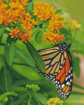 Aesthetic Orange Flower With Butterfly Diamond Paintings