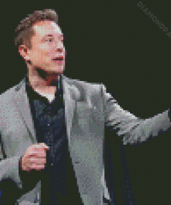 Elon Musk Diamond Paintings