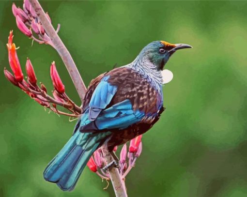 Native New Zealand Tui Bird Diamond Paintings