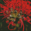 Red Grevillea Flower Diamond Paintings