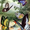 Vintage Butterflies Diamond Paintings