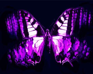 Abstract Black And Purple Butterfly Diamond Paintings