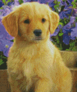 Aesthetic Golden Puppy Dog Diamond Paintings