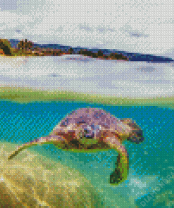 Aesthetic Hawaii Turtle Diamond Paintings
