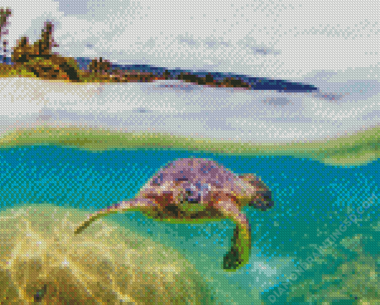 Diamond Painting Turtle Selfie - Asistente de diamantes