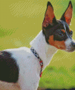 Aesthetic Rat Terriers Diamond Paintings