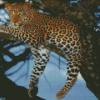 Aesthetic Wild Leopard Diamond Paintings