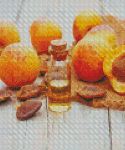 Apricot Oil Diamond Paintings