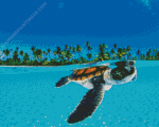 Baby Sea Turtle Underwater Diamond Paintings