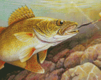 Cool Walleye Fishing Diamond Paintings
