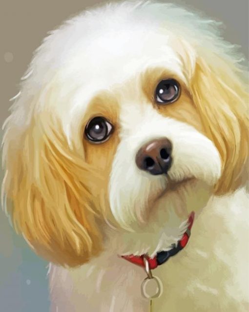 Cute Cavachon Dog Diamond Paintings