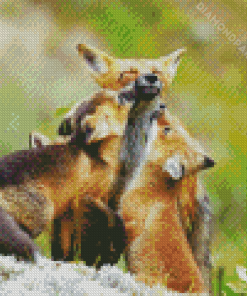 Happy Fox Family Diamond Paintings