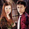 Harry And Ginny Weasley Diamond Paintings