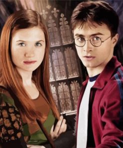 Harry And Ginny Weasley Diamond Paintings