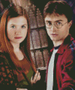 Harry And Ginny Weasley Diamond Paintings