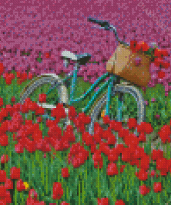 Bicycle And Tulip Field Diamond Paintings