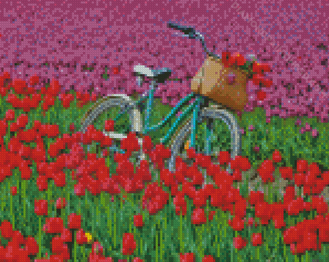 Bicycle And Tulip Field Diamond Paintings