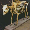 Bull Skeleton Diamond Paintings