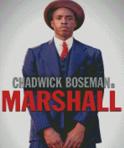 Chadwick Boseman Marshall Diamond Paintings