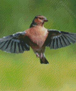 Chaffinch Flying Bird Diamond Paintings