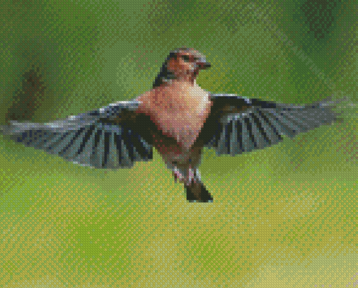 Chaffinch Flying Bird Diamond Paintings