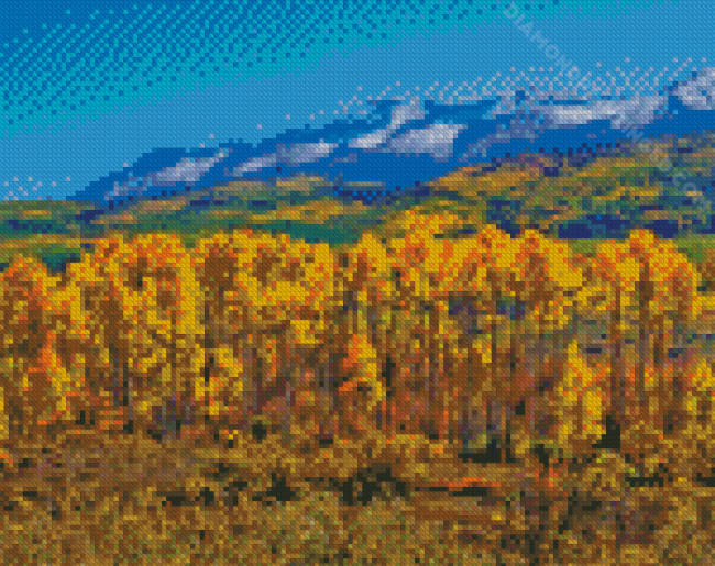 Colorado With Aspen Trees In Autumn Diamond Paintings