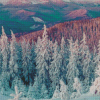 Colorful Snowy Winter Landscape Diamond Paintings