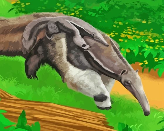 Giant Anteaters Diamond Paintings