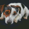 Jack Terrier Diamond Paintings