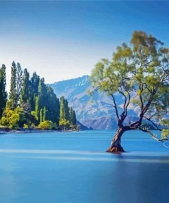 Tree In Lake Wanaka Diamond Paintings