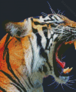 Aesthetic Tiger Roaring Diamond Paintings
