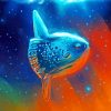 Aesthetic Sunfish Diamond Paintings