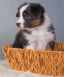 Black Tri Australian Shepherd Puppy In Basket Diamond Paintings